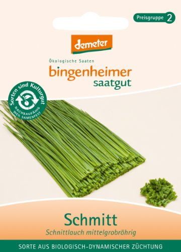 Schnittlauch Mittelgroß