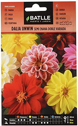 Semillas Batlle Dalia Unwin Semi Nano Doppia vda
