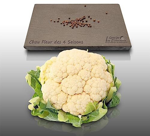 100 graines à semer - Le Grenier d'Abondance - CHOU Fleur des 4 saisons - Brassica oleracea