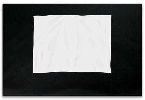 Seitenteile - 2 Seitenteile mit Fenster für Falt-Pavillon - Material: Polyester - Seitenwände Ersatzteile (Schwarz)