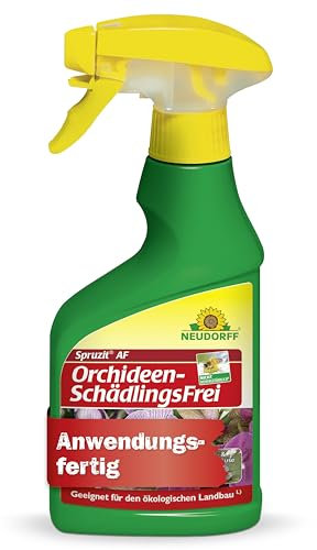 Neudorff Spruzit AF Orchideen SchädlingsFrei – Bekämpft Schädlinge wie Blattläuse, Thripse, Schild- & Wollläuse an Orchideen, anwendungsfertig, 250 ml