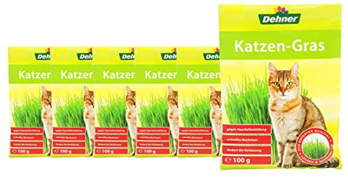Dehner Lieblinge Saatgut Katzengras, 6 Stück (600 g)