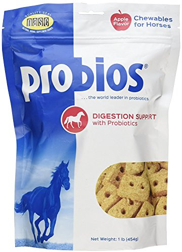 Probios Horse Treats for Digestion Support, 1-Pound