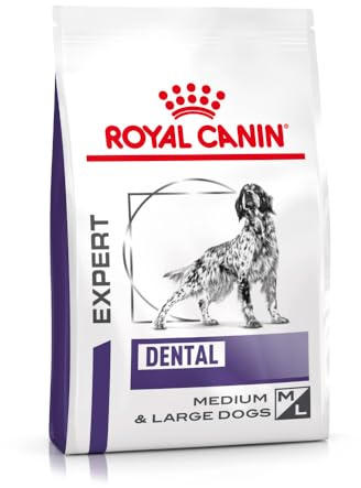 Royal Canin Dog dental, 1er Pack (1 x 14 kg)
