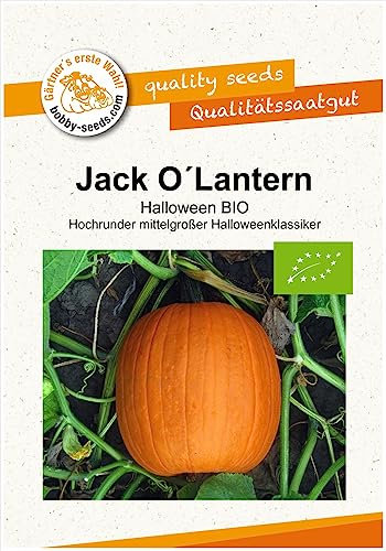Jack O Lantern BIO Kürbissamen von Bobby-Seeds Portion