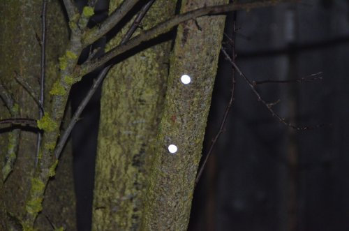 100 x Geocaching Reflektoren, silber , Feuernadel, Reflektor, Nachtcache, hochreflektierend , selbstklebend, ORALITE 5500 ENGINEER GRADE - Markenfolie, witterungsbeständig