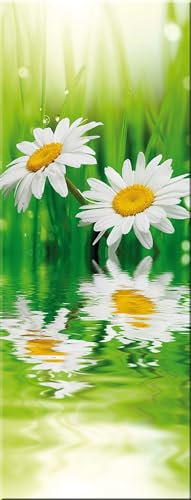 artissimo, Glasbild, 30x80cm, AG9396A, Gänseblümchen, Blume, grün, Bild aus Glas hochkant, moderne Wanddekoration aus Glas, Wandbild Wohnzimmer modern