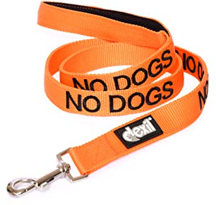 Keine Hunde Orange (Nicht gut mit Anderen Hunden) Warnung Hund farbcodierte Edles personalisierte 60cm 1.2m 1.8m Leine Unfälle oder Vorfälle Hund verhindern. Preisgekrönte (120cm)