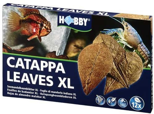 Catappa Leaves Seemandelbaumblätter XL 12 Stück