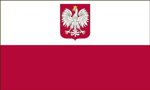 Valley Forge Flag Bandiera dell' America Company Nylon Polonia con Aquila Bandiera, Nylon, 2-Foot by 3-Foot