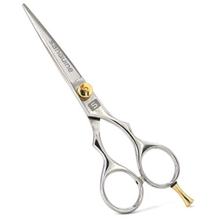 Ciseaux de Coupe de Cheveux Professionnels Ultra Tranchants - Réduit les Pointes Fourchues - Convient aux Coiffeurs, Barbiers et Usage Personnel - 15,30 cm - Étui Inclus: Des Ciseaux Parfaits pour Sublimer Votre Coiffure