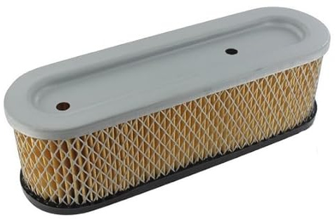 Filter Hat Air Briggs und Stratton Numero Original 491519 399806