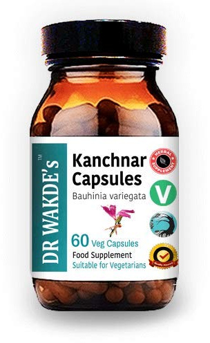 Kanchnar Capsules (Bauhinia variegata)