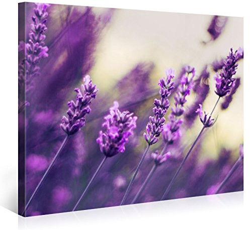 PICANOVA – Purple Lavendel 100x75cm – Premium Leinwanddruck – Kunstdruck Auf 2cm Holz-Keilrahmen Für Schlaf- Und Wohnzimmer