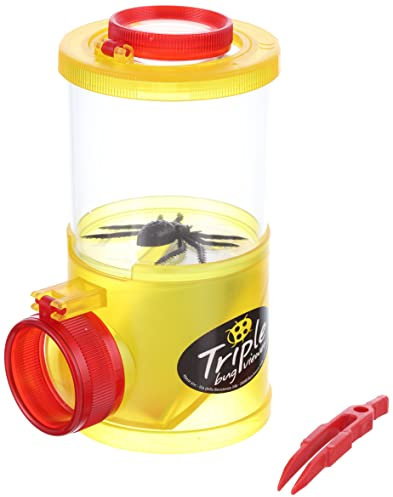 moses. 3-Wege-Becherlupe - Expedition Natur, Mit 2-Fach, 3-Fach und 4-Fach Vergrößerung, Lupendose zur Beobachtung von Insekten oder Blättern, Vergrößerungsbecher für Kinder