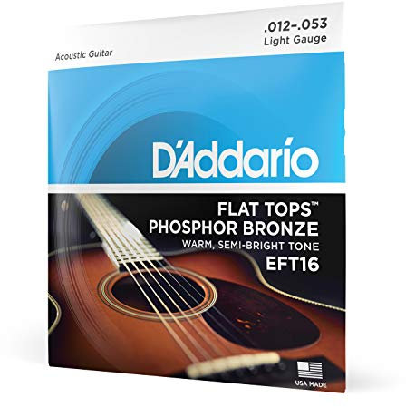 D'Addario Gitarrensaiten Westerngitarre | Gitarrensaiten Akustikgitarre | Acoustic Guitar Strings | EFT16 Phosphor Bronze Akustikgitarren Saitensatz 012' - 053'