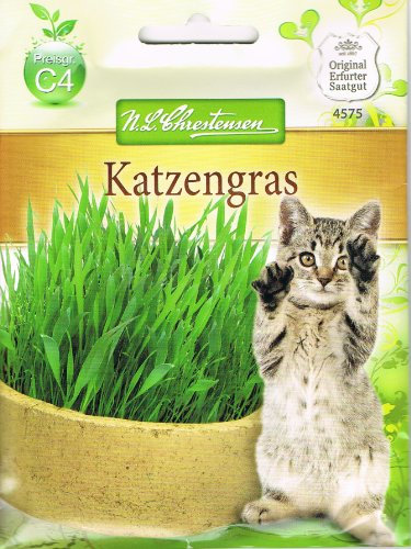 N.L.Chrestensen 4575, Katzengras, Grün