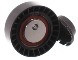 SKF VKM 38003 Kit de Galet Enrouleur Multi-V | Compatible avec: BMW 3, 3, 3, 3 Cabriolet, 3 Cabriolet, 3 Cabriolet, 3 Compact, 3 Compact, 3 Coupe, 3 Coupe, 3 Coupe