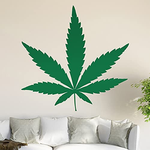 Kiwistar Hanf - Cannabis Wandtattoo in 6 Größen - Wandaufkleber Wall Sticker - Dekoration, Küche, Wohnzimmer, Schlafzimmer, Badezimmer