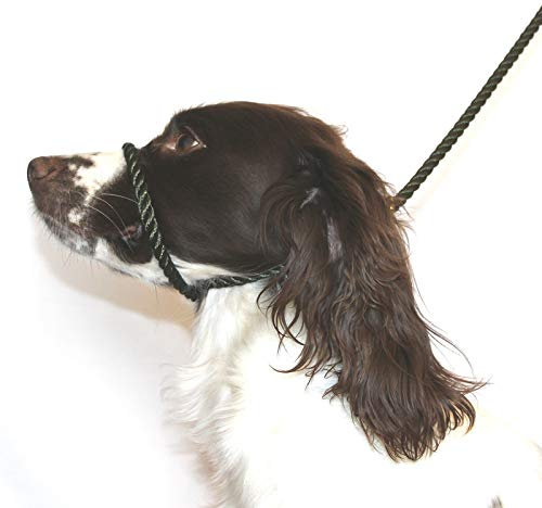 Dog & Field Figure 8 Anti-Pull Lead/Halter/Head Collar/Harness (Olive Green)