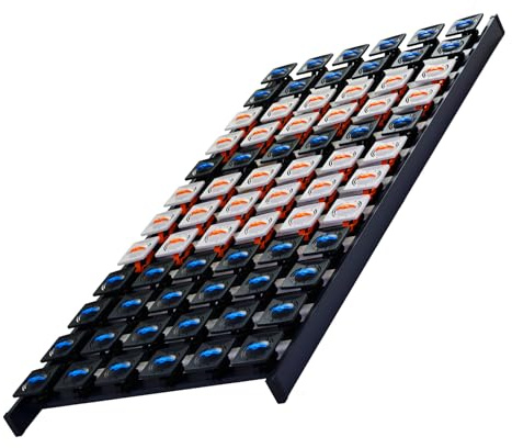 DaMi 5-Zonen Teller-Lattenrost Dream 100x200 cm, für den perfekten Schlaf, Lattenrost mit 72 Tellermodulen & individueller Härteverstellung, Bettrost Lattenrahmen Bettrahmen Tellerrost