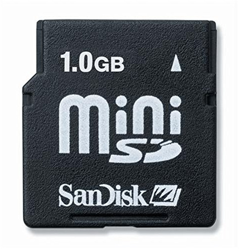 SanDisk Carte Mini Secure Digital (Mini SD) Carte Mémoire Flash 1 Go