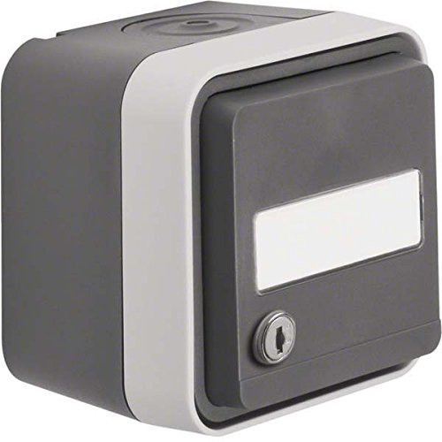 Berker Steckdose SCHUKO 47893505 lichtgrau AP W.1 Steckdose 4011334395201