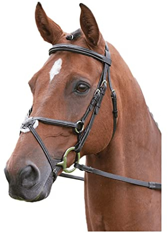 Shires Salisbury Sweater Brackley Zaumzeug mit mexikanischem Reithalfter mexikanischet Reithalfter Pony schwarz - schwarz