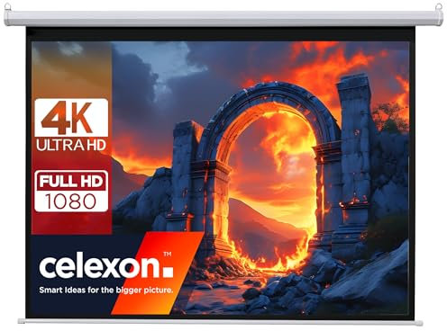 celexon Basic Motor-Leinwand 120 | 240x180 cm 4:3 | elektrische Full-HD 4K Beamer-Leinwand für Heimkino oder Büro-Präsentationen | geeigent zur Deckenmontage oder Wandmontage | inkl. Fernbedienung