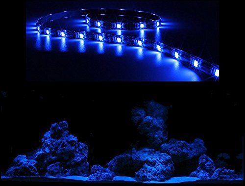 creative lights AQUARIUM MONDLICHT, LED LICHTLEISTE 60 CM FLEXI-SLIM BLAU KOMPLETTSET