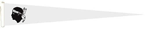 Haute Qualité pour U24 Long Fanion Corse Drapeau 250 x 40 cm