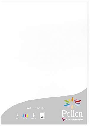 Clairefontaine 24239C 25 Karten Pollen A4 210g Weiß