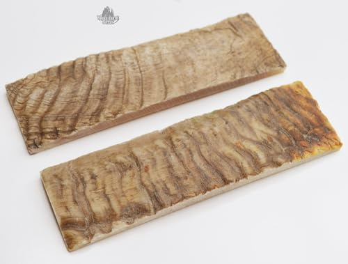 Whole Earth Supply Premium Handle Scales, Knife Making Material, 2-Piece Set (Natural Ram Horn)