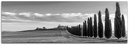 Paul Sinus Art Wandbild als Panorama SCHWARZ/WEISS 120x40cm Toskana Landschaft Zypressen Wiesen
