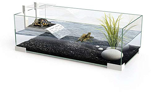 Ciano tartarium cool 60