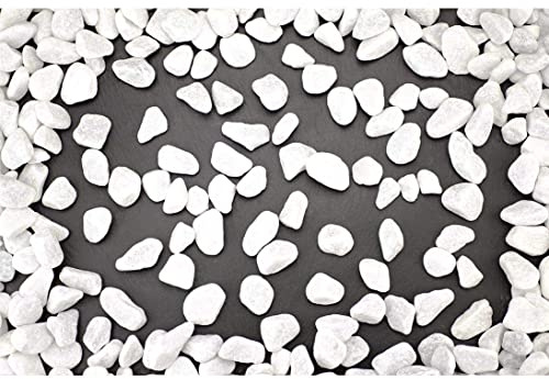 kunstpflanzen-discount.com Carrara Zierkies 15-25mm weiß im ca. 25kg Sack - Verwendbar als Füllmaterial oder zur Gartengestaltung