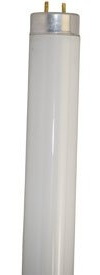 Technical Precision 20 Watt Fluorescent Bulb with G13 2 Pin Base - Replacement for National Fl20ss-w/18 580mm W/O Pins T10 24 Inch Fluorescent Light Bulb - 4100K Daylight Bulb - 1 Pack