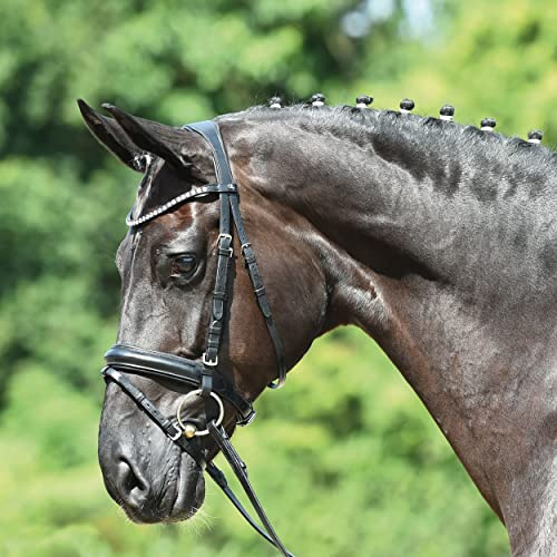 Busse