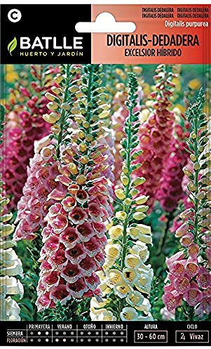 Batlle – Semi di Fiori – Digitalis – Digitale Excelsior Hybrids