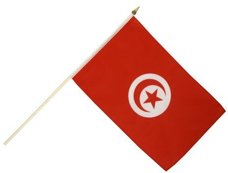 Digni® Drapeau Tunisie sur hampe