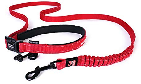 EzyDog Jogging Hundeleine für Mittelgroße und Große Hunde - Joggingleine Road Runner 210cm - Leine zum Joggen mit Hund, Reflektierende, Elastische mit Bungee Ruckdämpfer (25mm, Rot)