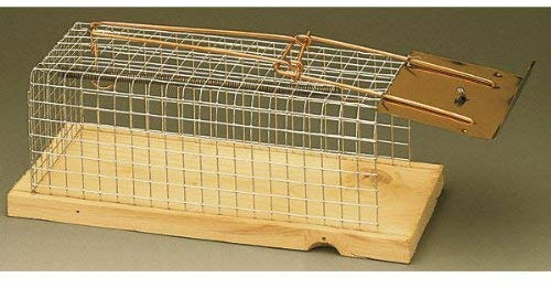 Garda pa-009638 Boîte Fil piège à Rat