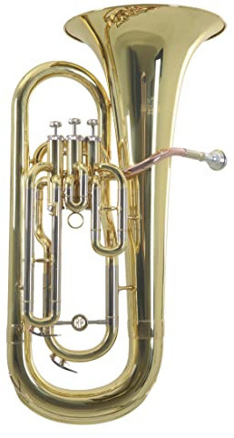 Roy Benson Bb-Euphonium EP-301 (Professionelles Blasinstrument, mit Goldmessing Mundrohr, Neusilber Außenzüge, Edelstahl Ventile, mit komfortablem Formetui)