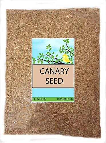 Sweet Harvest Canary Seed Alpiste Bird Food