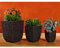 Set de 3 pot de fleurs/Jardinière en jacinthe d'eau dans marron