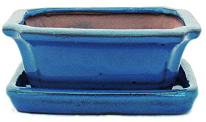 exotenherz Bonsai-Schale mit Unterteller Gr. 1 - Blau - eckig - Modell G13 - L 12cm - B 9,5cm - H 4,5 cm