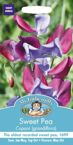 Mr Fothergill's 25672 Flower Seeds, Sweet Pea Cupani (grandiflora), Bicolour