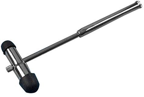 Holtex ID06620 Marteau à Réflexes Buck avec Aiguille et Pinceau, 19 cm Longueur