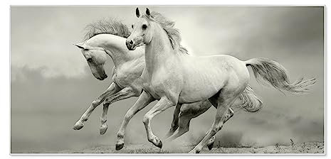banjado Magnettafel weiß 78 x 37cm / Magnetwand Metall/Magnetpinnwand als Memoboard/Pinnwand Magnettafel Küche, Büro, Kinderzimmer inkl. 4 Magnete & Montageset - Motiv Wilde Pferde SW