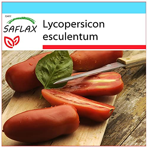 SAFLAX - Geschenk Set - Tomate - San Marzano - 10 Samen - Mit Geschenk- / Versandbox, Versandaufkleber, Geschenkkarte und Anzuchtsubstrat - Lycopersicon esculentum